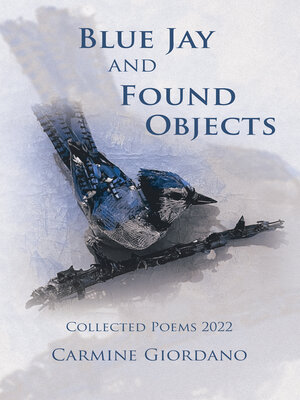 cover image of Blue Jay and Found Objects